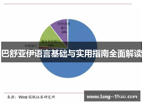 巴舒亚伊语言基础与实用指南全面解读