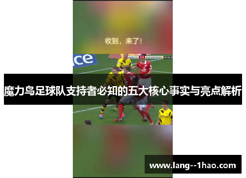 魔力鸟足球队支持者必知的五大核心事实与亮点解析