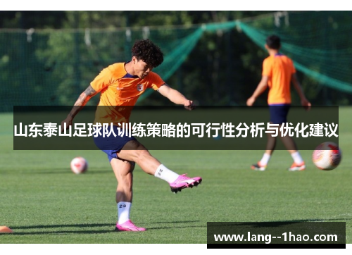山东泰山足球队训练策略的可行性分析与优化建议