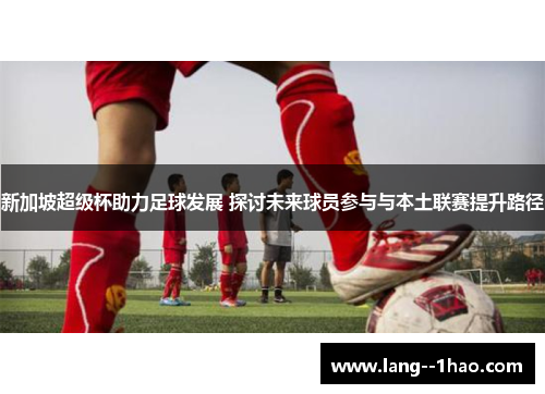 新加坡超级杯助力足球发展 探讨未来球员参与与本土联赛提升路径 新加坡超级杯助力足球发展 探讨未来球员参与与本土联赛提升路径