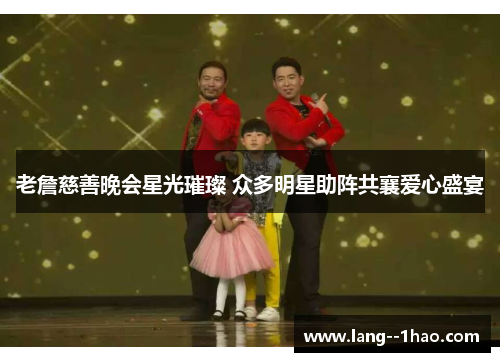 老詹慈善晚会星光璀璨 众多明星助阵共襄爱心盛宴